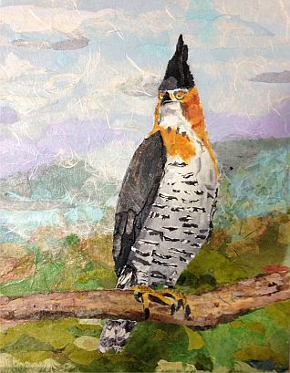 Ornate Hawk Eagle - Original collage painting by Isabelle Griesmyer