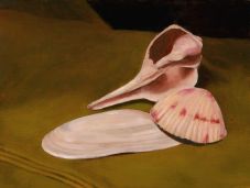 Shells - Original oil painting by Isabelle Griesmyer
