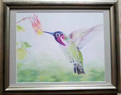 Hummingbird - Original colored pencil painting by Isabelle Griesmyer