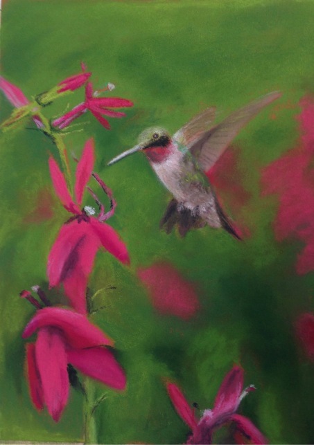 Hummingbird - Original watercolor painting by Isabelle Griesmyer