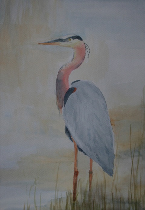 Heron - Original watercolor painting by Isabelle Griesmyer