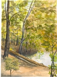 Reedy Creek - Original watercolor Painting by Isabelle Griesmyer