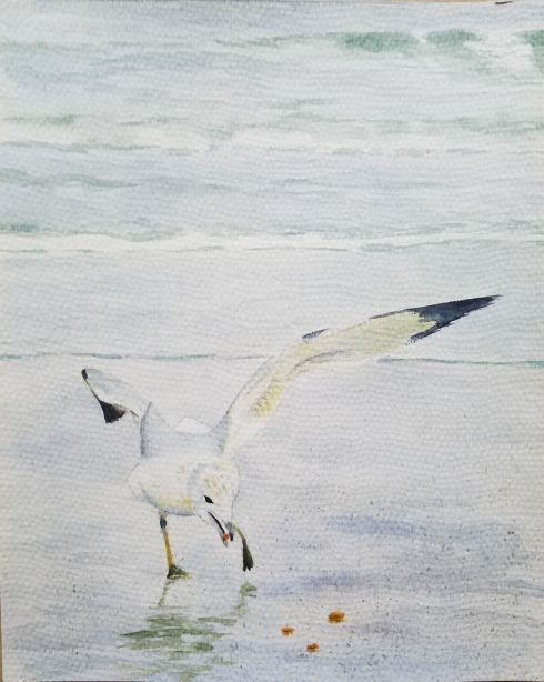 Seagull - Original watercolor painting by Isabelle Griesmyer
